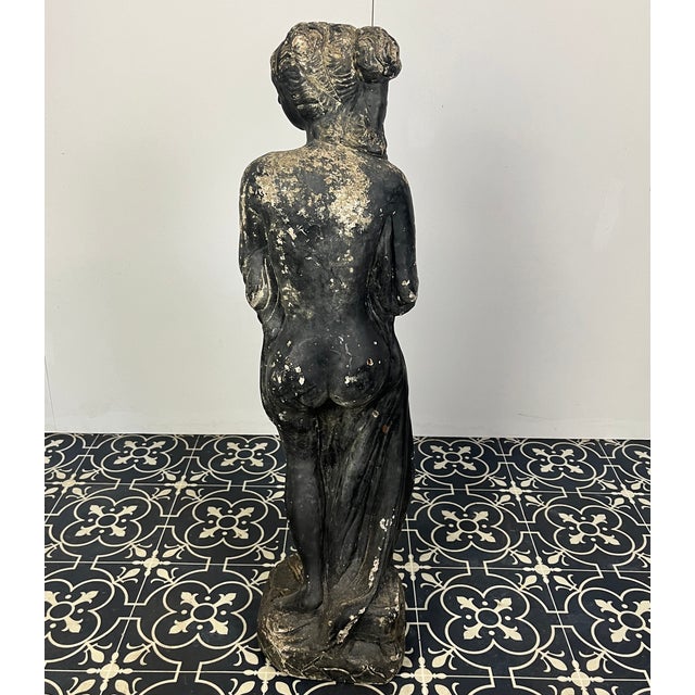 19th Century Venus Italica Ebonised Garden Statue For Sale - Image 13 of 15