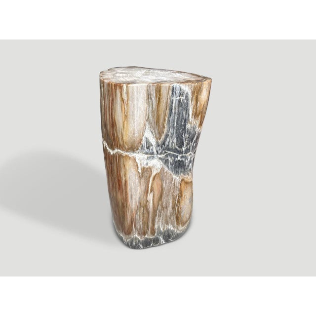 Impressive beautiful grey tones on this ancient petrified wood side table. It’s fascinating how Mother Nature produces...