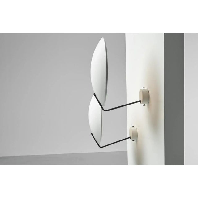 Stilnovo 232 Wall Lamp by Bruno Gatta for Stilnovo, 1954 For Sale - Image 4 of 12