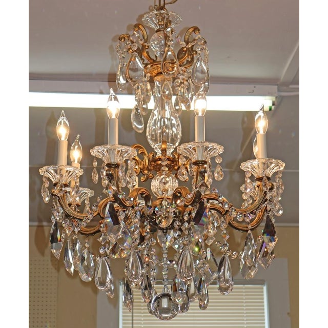 Schonbek La Scala 5007 8 Light Gold Color Crystal Chandelier For Sale In New York - Image 6 of 18