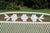 Wrought Iron Patio Set With Dogwood Motifs—Table and Four Armchairs With Covers, 5 Pieces For Sale - Image 9 of 18