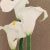 This artwork titled "Calla Lily" 1998 is an original color lithograph on Wove paper by noted American artist Gary...