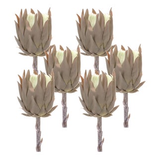 Beige Protea Stem (Set of 6) For Sale