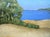 Contemporary Pacific Bluffs Lynne French 8x8 California Landscape Seascape Oil Painting For Sale - Image 3 of 4