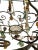 Vintage Wrought Iron Chandelier Decorated with Pendants of Various Shapes and Sizes and a Floral Theme For Sale - Image 4 of 9