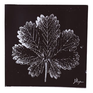Botanical Metal Wall Art Print by J Page, 1970s For Sale