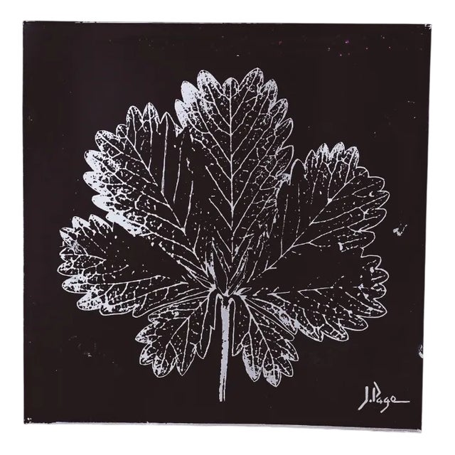 Botanical Metal Wall Art Print by J Page, 1970s For Sale