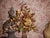 Brown Antique Flower Bouquet from Befos, 1890s For Sale - Image 8 of 16