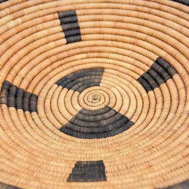 Early 20th Century Botswana Basket 15inch MATTER COLLECTION For Sale - Image 4 of 8