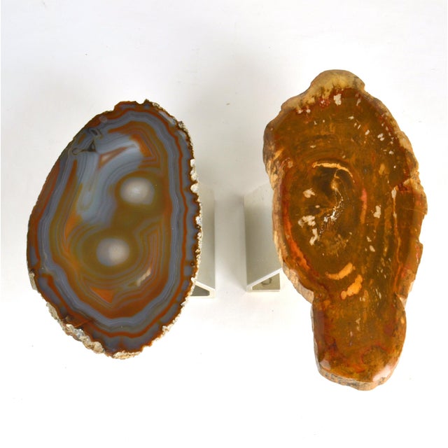 Architectural Push Pull Door Handle in Petrified Wood, 1970s For Sale - Image 12 of 14