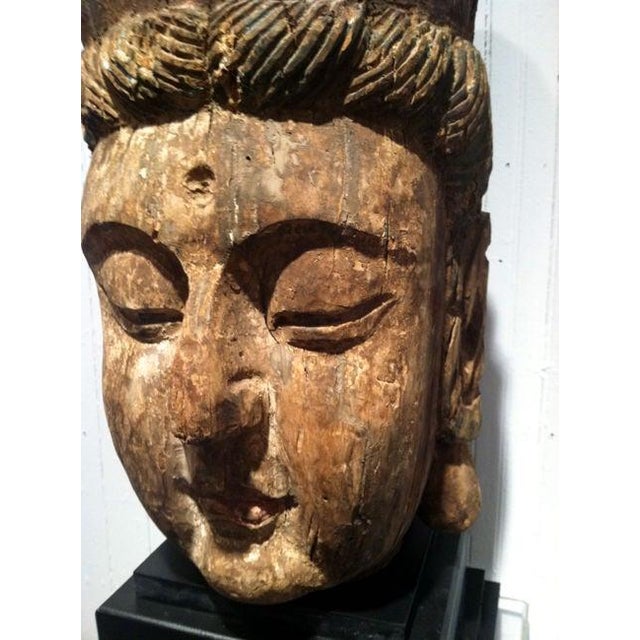 Wood Large Wood Sculpture of Boddhisatva Head Ming Dynasty For Sale - Image 7 of 17
