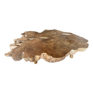 Andrianna Shamaris Monumental Rare Burl Teak Wood Coffee Table For Sale