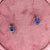 Tanzanite Earring Studs in 14K Solid White, Yellow or Rose Gold | Emerald Cut, a Pair For Sale In Columbus - Image 6 of 6