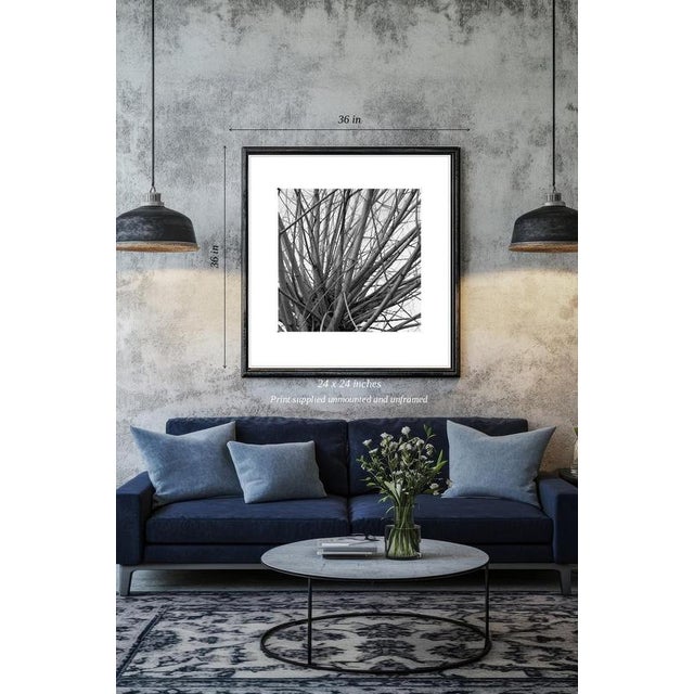 Fine art Giclee prints on Hahnemuhle Photo Rag 308gsm - a 100% cotton, acid-free, mould-made paper. Printed to Fine Art...