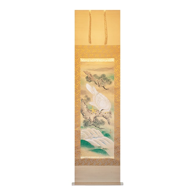 Nishii Shōdō "White Hawk on a Pine Tree", Late Meiji to Early Showa Large Scroll Painting For Sale