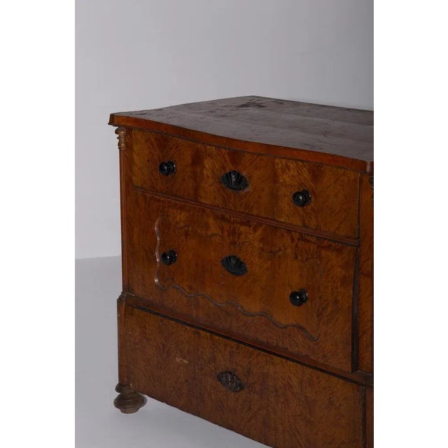 Italian Sicilian Chest of Drawers in Briar Wood, Late 1800s For Sale - Image 3 of 11
