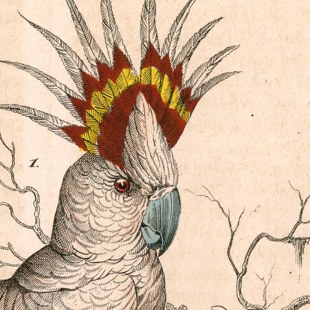 This is a beautiful museum-quality print of an original German bookplate from the mid-1800s. It's printed on archival...