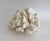 Natural Pacific Elk Coral Specimen Coastal Home For Sale - Image 4 of 7