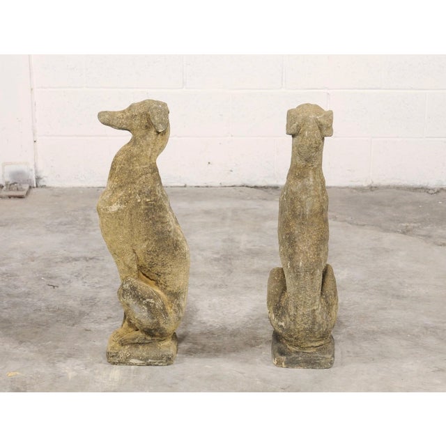 Stone Mid 20th Century Pair of Stone Greyhound Garden Statues For Sale - Image 7 of 11