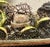 Metal 18th Century Gilt Brass Reliquary Pendant with Three Saint Relics For Sale - Image 7 of 11