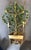 Hollywood Regency Mid 20th Century Hollywood Regency Italian Lemon Tole Tree Iron Wall Sconce W/ Bamboo Pot For Sale - Image 3 of 7