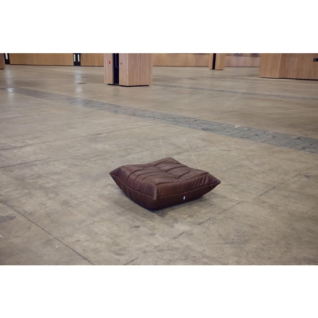 Animal Skin Chocolate Brown Leather Togo Sofa, 1970s, Set of 5 For Sale - Image 7 of 12