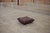 Animal Skin Chocolate Brown Leather Togo Sofa, 1970s, Set of 5 For Sale - Image 7 of 12