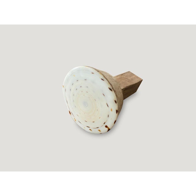 Andrianna Shamaris Shell and Teak Wood Door Knob For Sale - Image 16 of 18