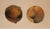 Small Oil Painting of Pears on Paper For Sale - Image 4 of 7
