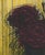 Bernard Buffet, Roses, Lithograph For Sale - Image 4 of 9
