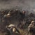 H.P., Great Battle of the 19th Century, 1880, Oil on Canvas For Sale - Image 11 of 16