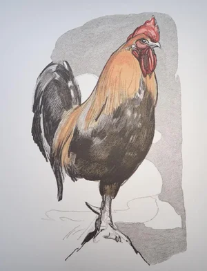 Paul Jouve, The Rooster, Wood Engraving