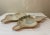 Silver Mid Century Los Castillo Style Butterfly Tray Abalone Mixed Metals Brass Copper Silver For Sale - Image 8 of 12