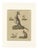 Bertuch, Kangaroo, Wallaby & Hopping Mammals, 1795, Engraving For Sale