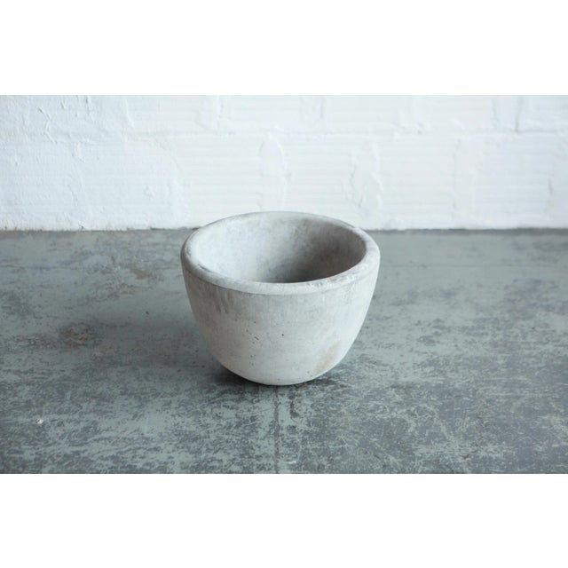 Baby Bear Planter For Sale - Image 4 of 4