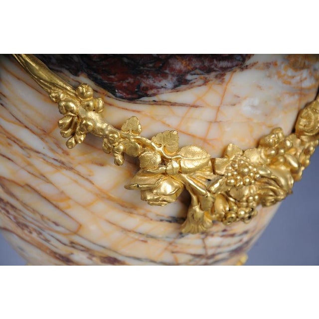 French Ornate Rams Head Potpourri Vase in Marble with Bronze For Sale - Image 9 of 18