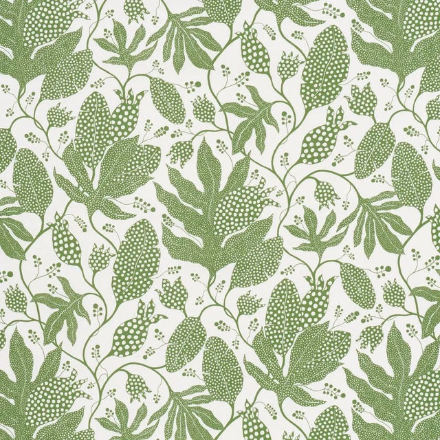Schumacher x Marian Mcevoy Polka Dot Jungle Fabric In Green & Ivory For Sale