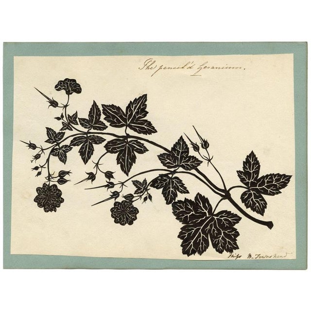 Paper Barbara Anne Townshend, The Pencil'd Geranium, Paper Cut For Sale - Image 7 of 8