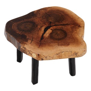 Rustic Sculptural Coffee Table in Walnut and Burnt Black Oak by Logniture For Sale