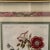 Traditional Hand Colored Botanical Engraving by Jacob X Schmuzer Circa 1801 For Sale - Image 3 of 12