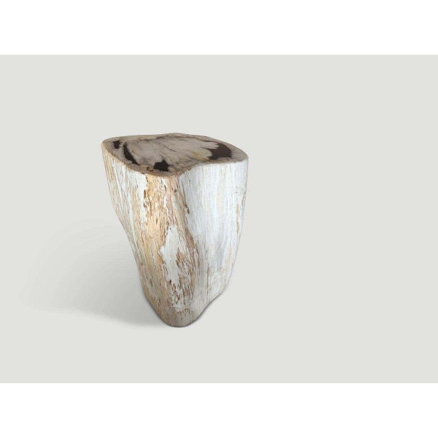 Contemporary Andrianna Shamaris Modern Organic Minimalist Petrified Wood Side Table For Sale - Image 3 of 5