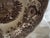 Mid 19th Century Antique Brown Transferware Shallow Bowl For Sale - Image 5 of 12