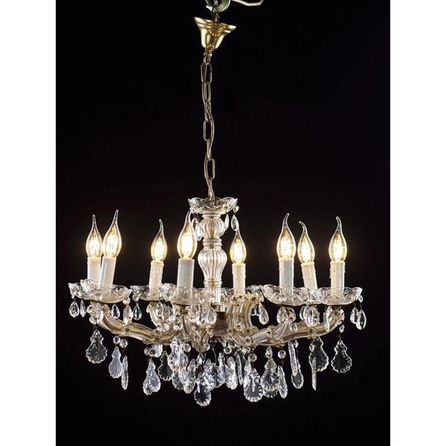 2000 - 2009 8-Arm Chandelier with Trimmings For Sale - Image 5 of 6