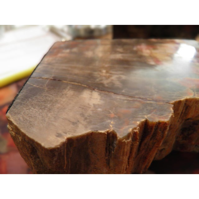 1970s Amazing Polished Arizona Rainbow Petrified Wood Bookends For Sale - Image 9 of 9