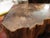 1970s Amazing Polished Arizona Rainbow Petrified Wood Bookends For Sale - Image 9 of 9