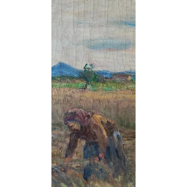 1920s Clemente Pugliese-Levi, Women with Hay, Oil on Canvas, 1920s, Framed For Sale - Image 5 of 13