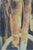 Modern Paintbrushes Poster after Cy Twombly For Sale - Image 3 of 6