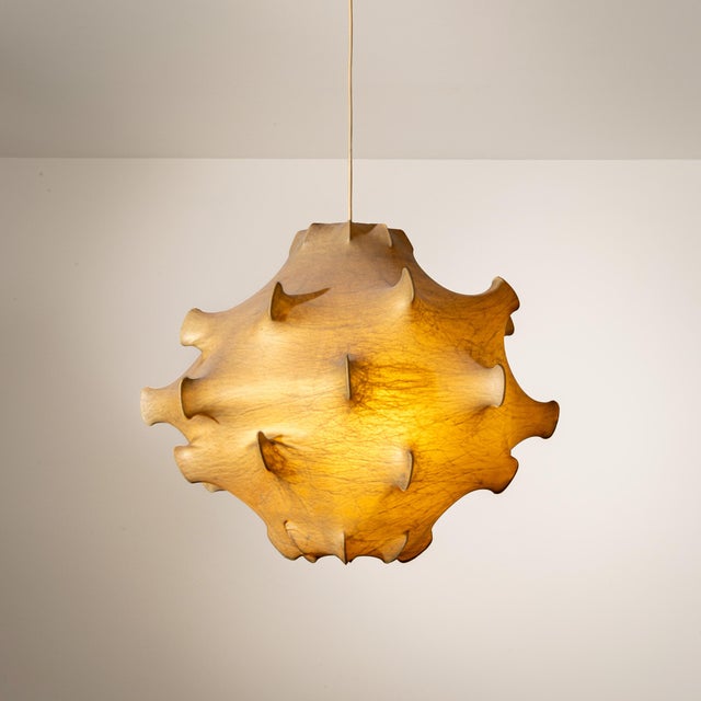 "Taraxacum" which is the Latin genus word for Dandelions, is a pendant lamp designed by Castiglioni Italy, circa 1960....