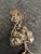 Raw Iron Pyrite Wrapped Pendant in Original Presentation Gift Box For Sale - Image 17 of 18