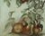American 1890s Pears Aplenty in Victorian Days For Sale - Image 3 of 4